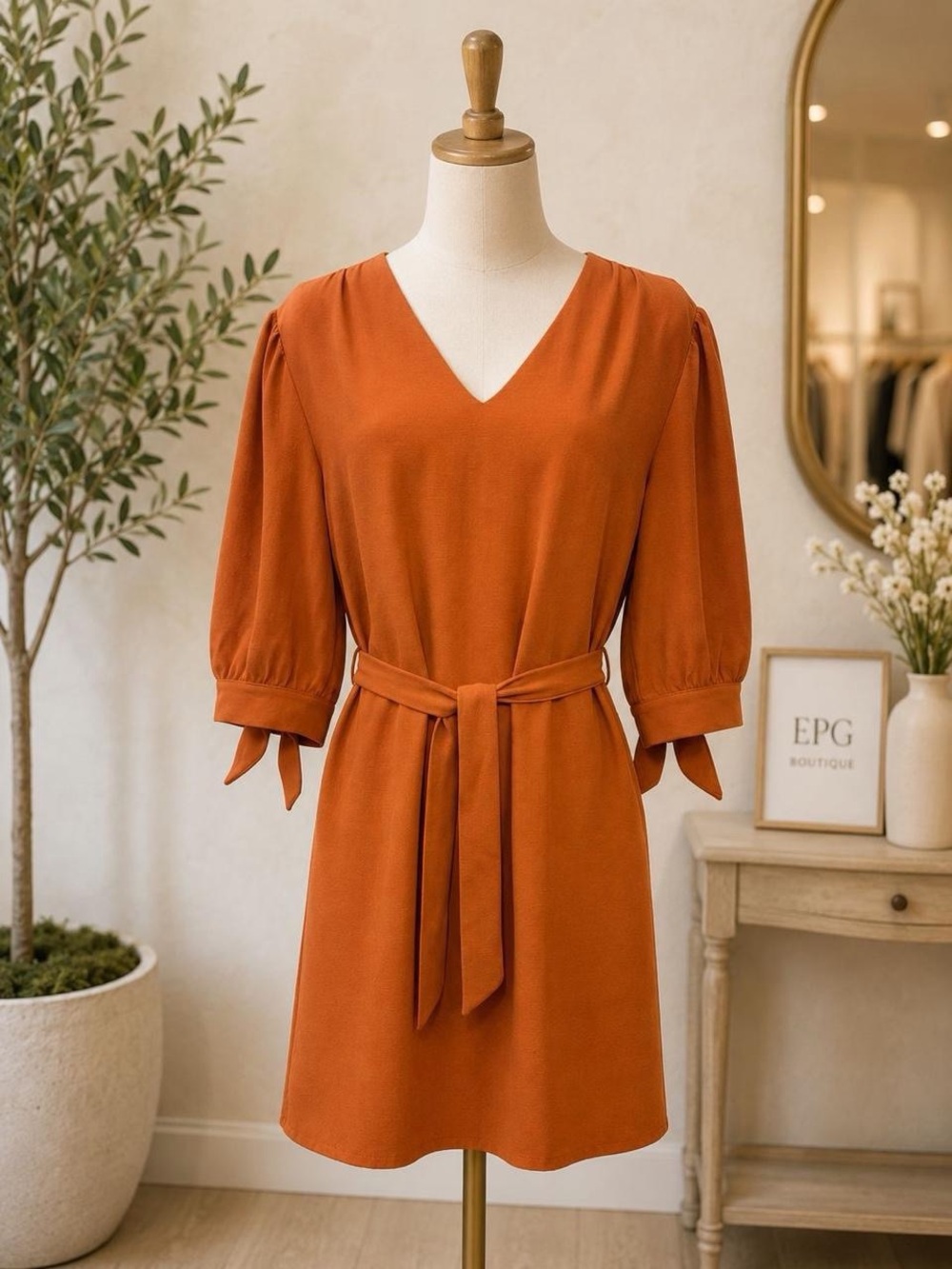 V-Neck Tie-Waist Mini Dress in Rust